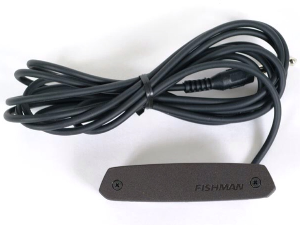 Fishman Neo-D single coil pickup