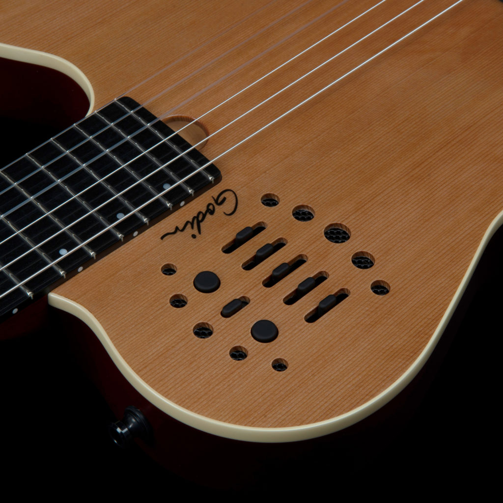 Godin ACS-SA SLIM Nylon Natural SG