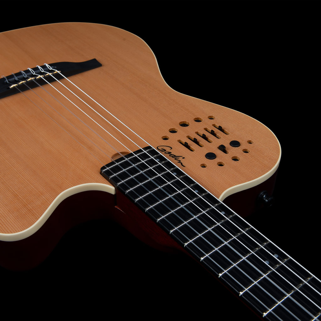 Godin ACS-SA SLIM Nylon Natural SG