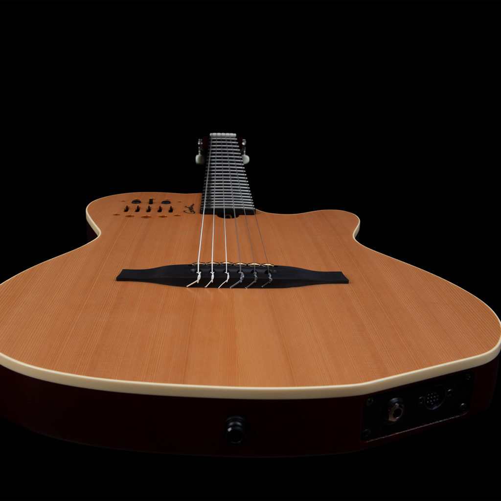 Godin ACS-SA SLIM Nylon Natural SG