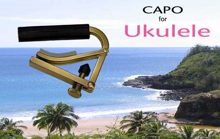 Shubb C9B ukulele capo