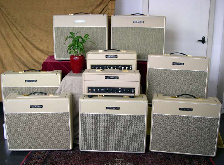 Meyer Amps Brighton BR20C en hoes