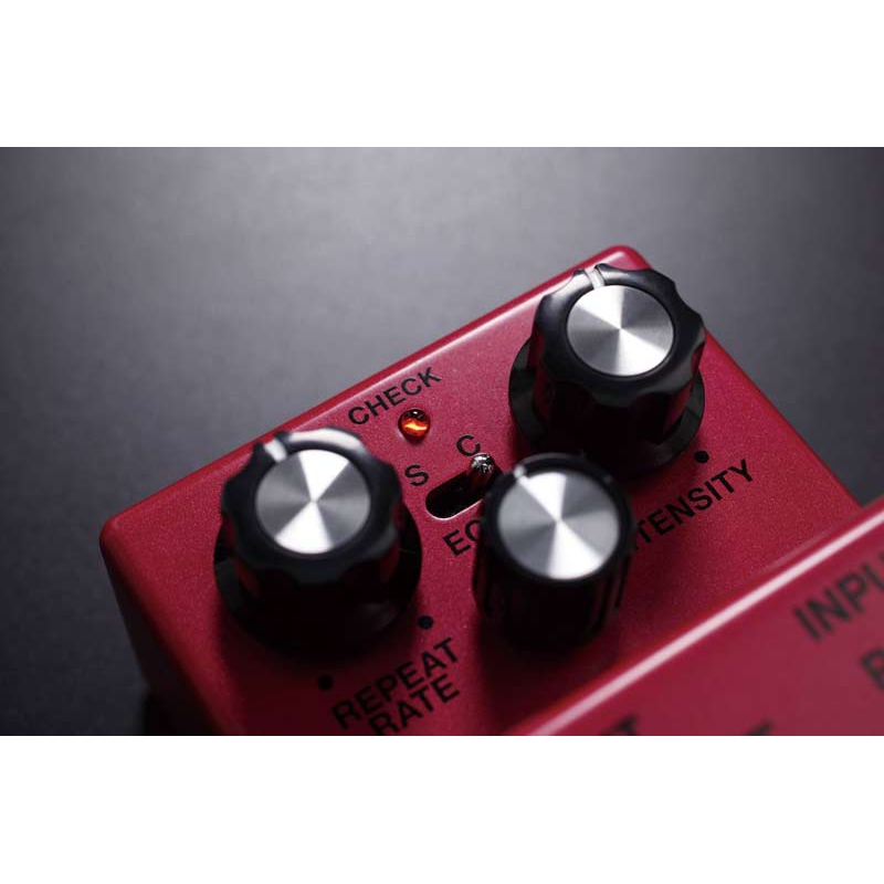 Boss DM-2w Delay Effecten