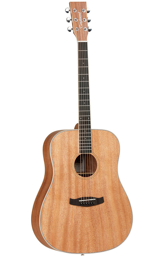 Tanglewood TWU D Union series