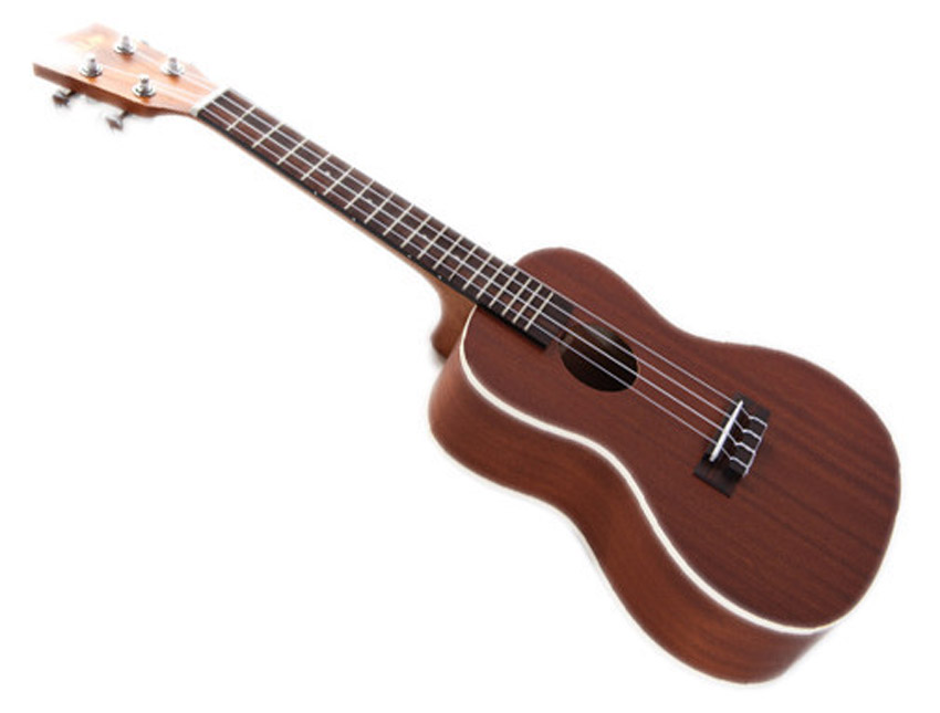 Kala KA-C RW concert ukulele