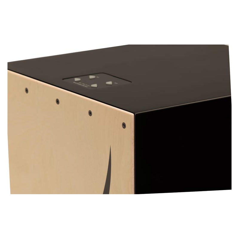 Roland EC-10 El Cajon