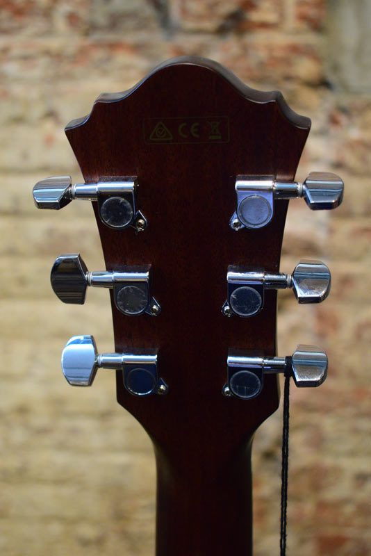 Ibanez AE275BT-LGS Baritone