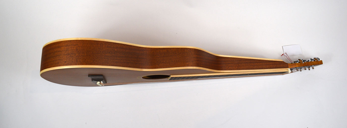 Ashbury AW10 Weissenborn lap steel gitaar