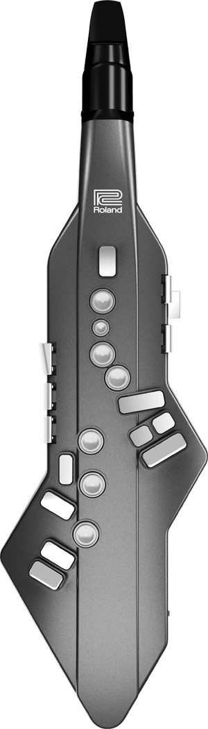 Roland Aerophone Go