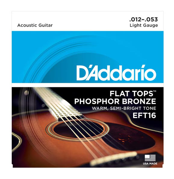 D'addario EFT16 Phosphor Bronze Flat Tops light