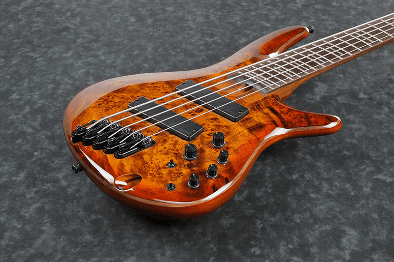 Ibanez SRMS805-BTT Bass Workshop