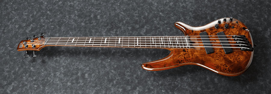 Ibanez SRMS805-BTT Bass Workshop