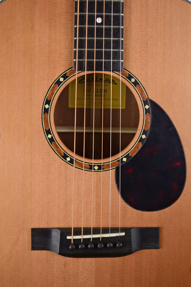 Eastman E2OM CD