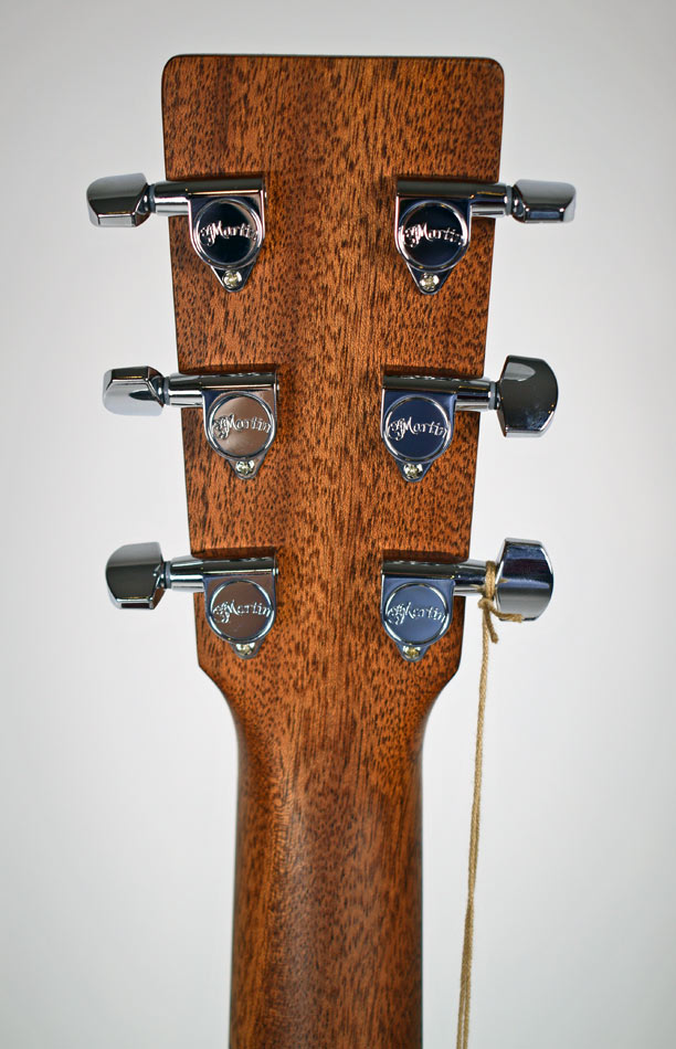 Martin D-10E Sapele