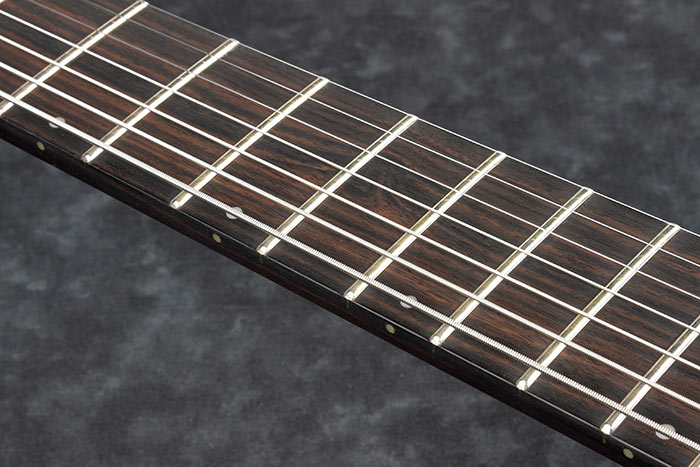 Ibanez RGD61ALA-MTR Axion Label