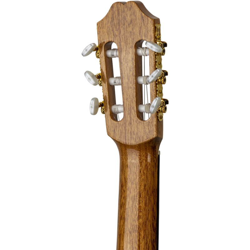 knelpunt Onverbiddelijk thema Juan Salvador 6C gitaar met massief bovenblad |Dijkman Muziek
