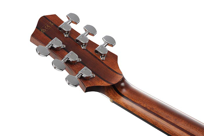 Ibanez PA230E-NSL Natural Satin Top