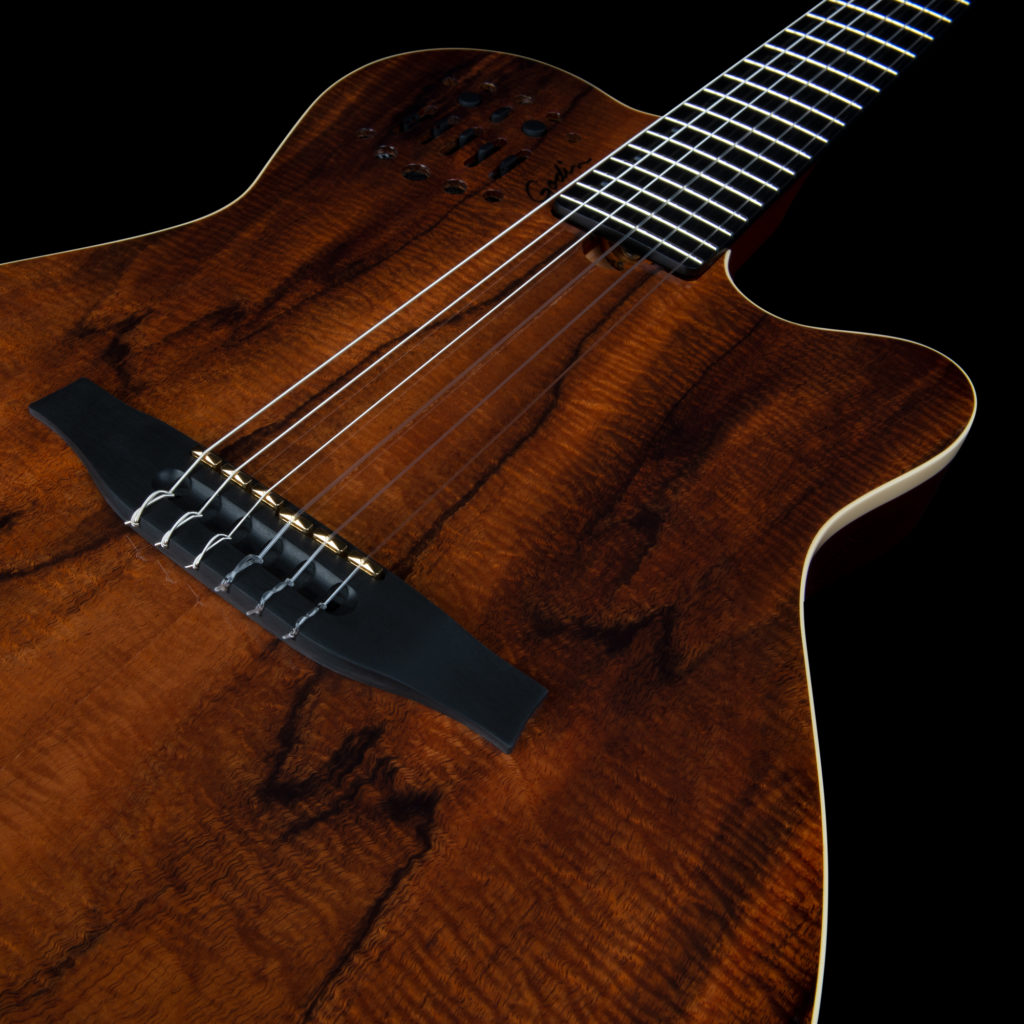 Godin ACS Nylon KOA Extreme HG