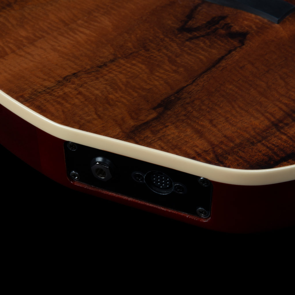 Godin ACS Nylon KOA Extreme HG