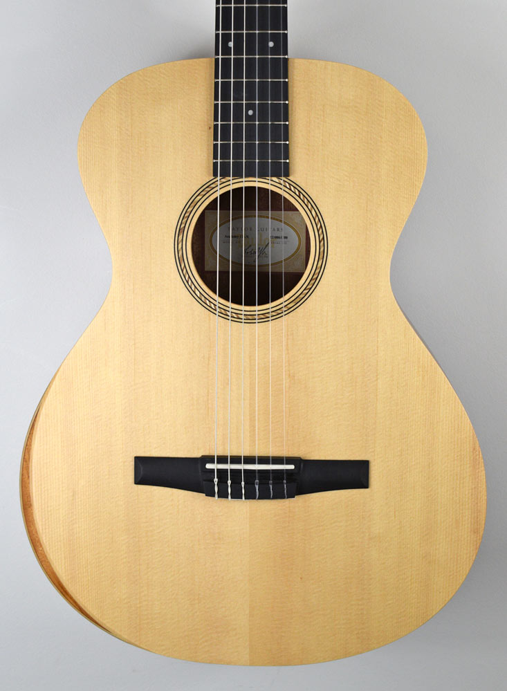 Taylor Academy 12E-N nylon