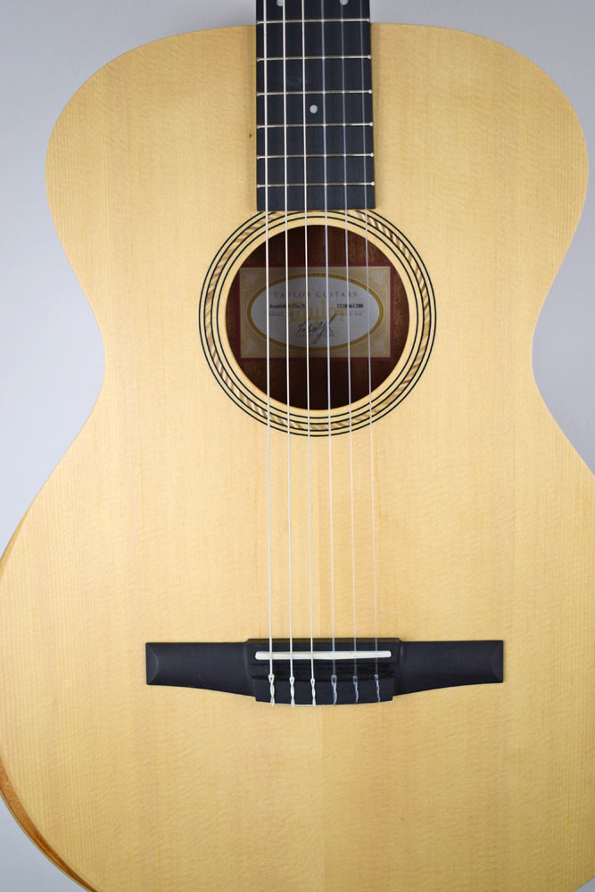 Taylor Academy 12E-N nylon