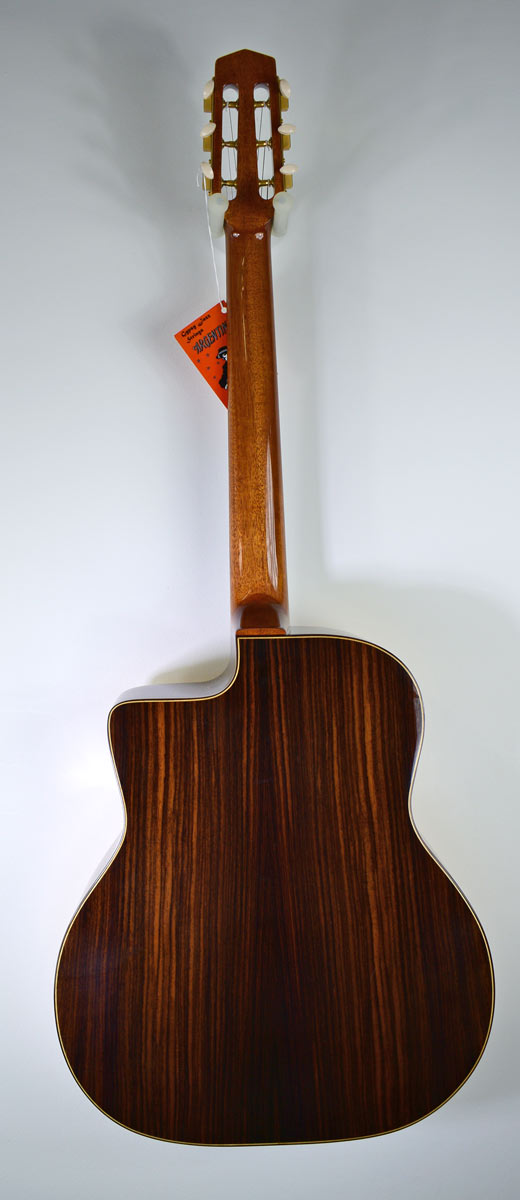 Altamira D01 Gypsy guitar D-soundhole