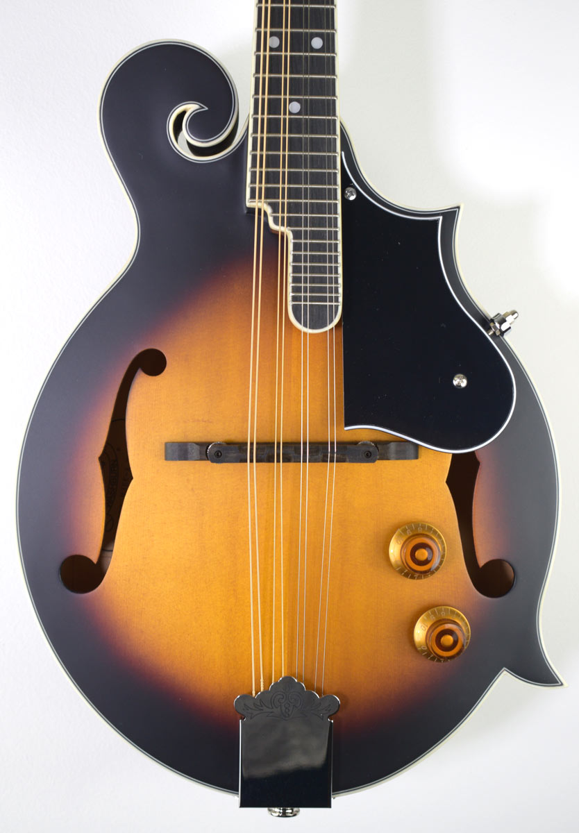 Washburn Americana M3E-Pack F-model