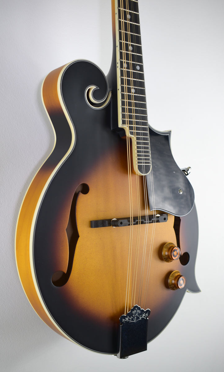 Washburn Americana M3E-Pack F-model