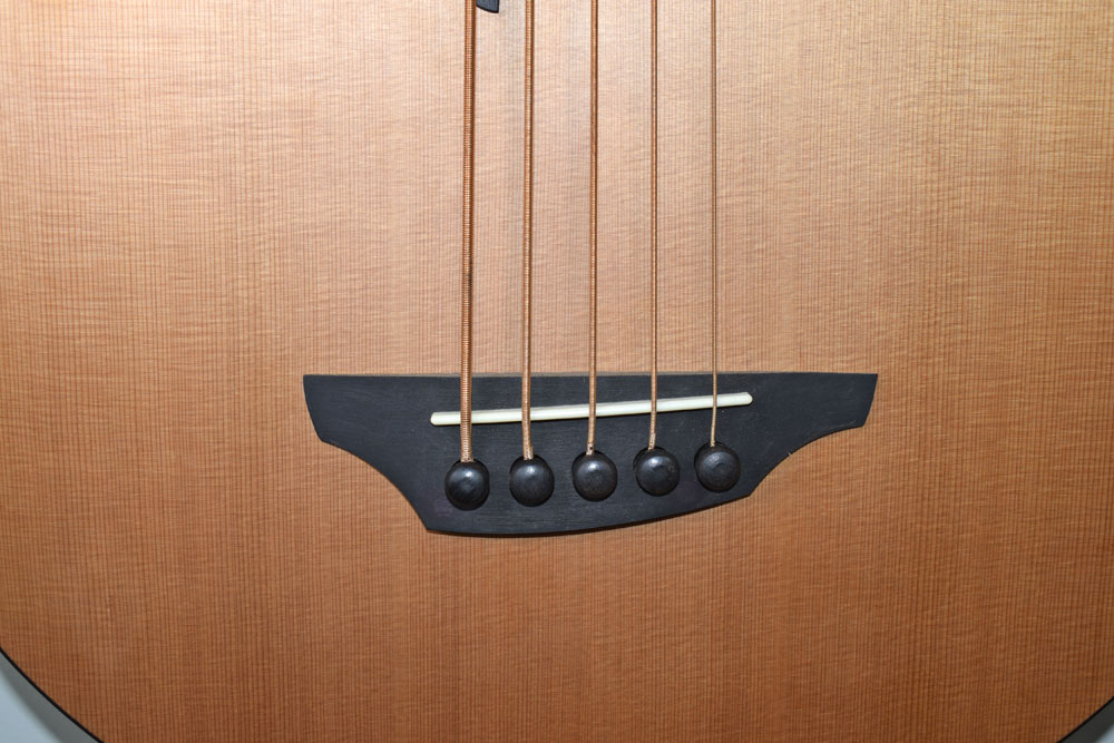 Stanford B 61 CM 5-string fretless bass