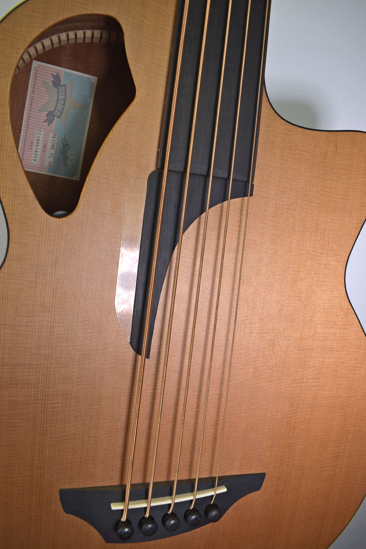 Stanford B 61 CM 5-string fretless bass