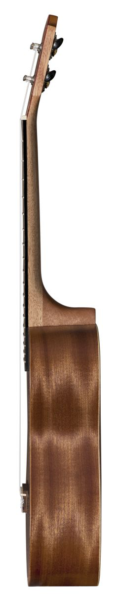 Baton Rouge UR21-T Tenor ukulele