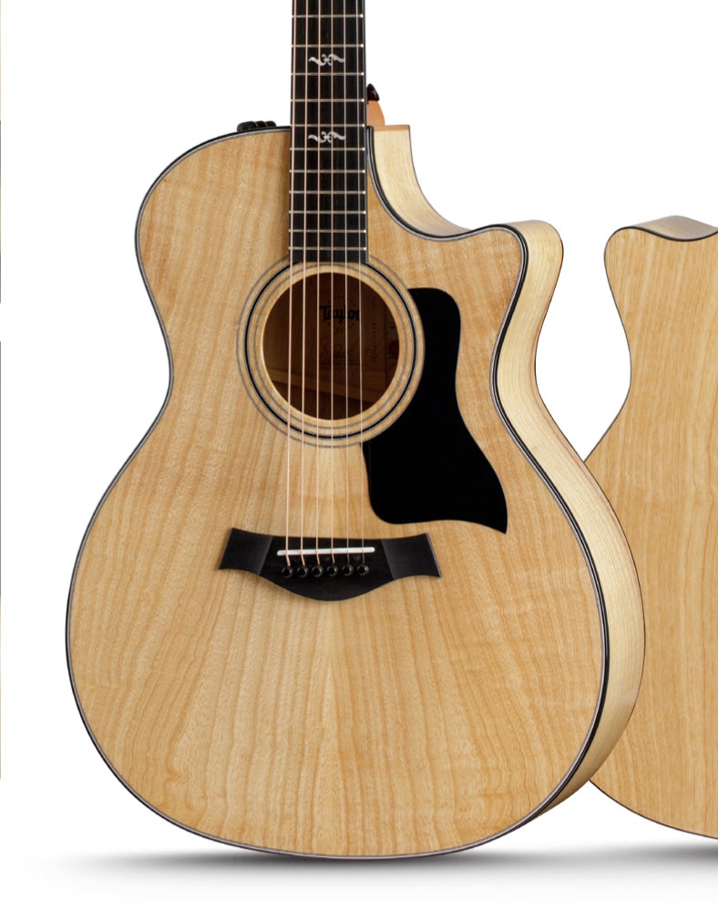 Taylor Urban Ash 424ce LTD