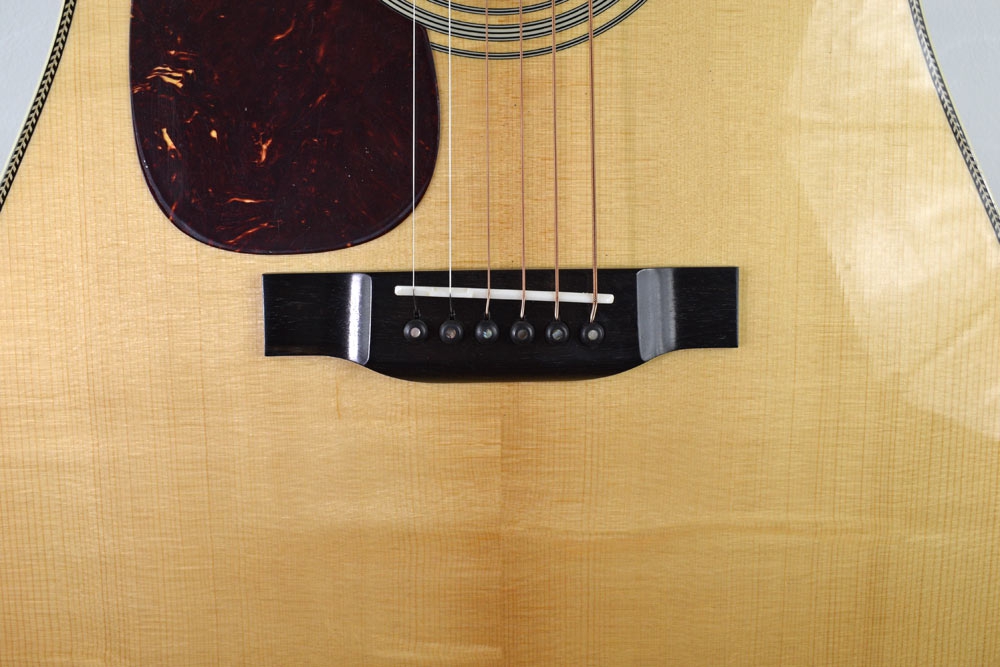 Eastman E8D-L