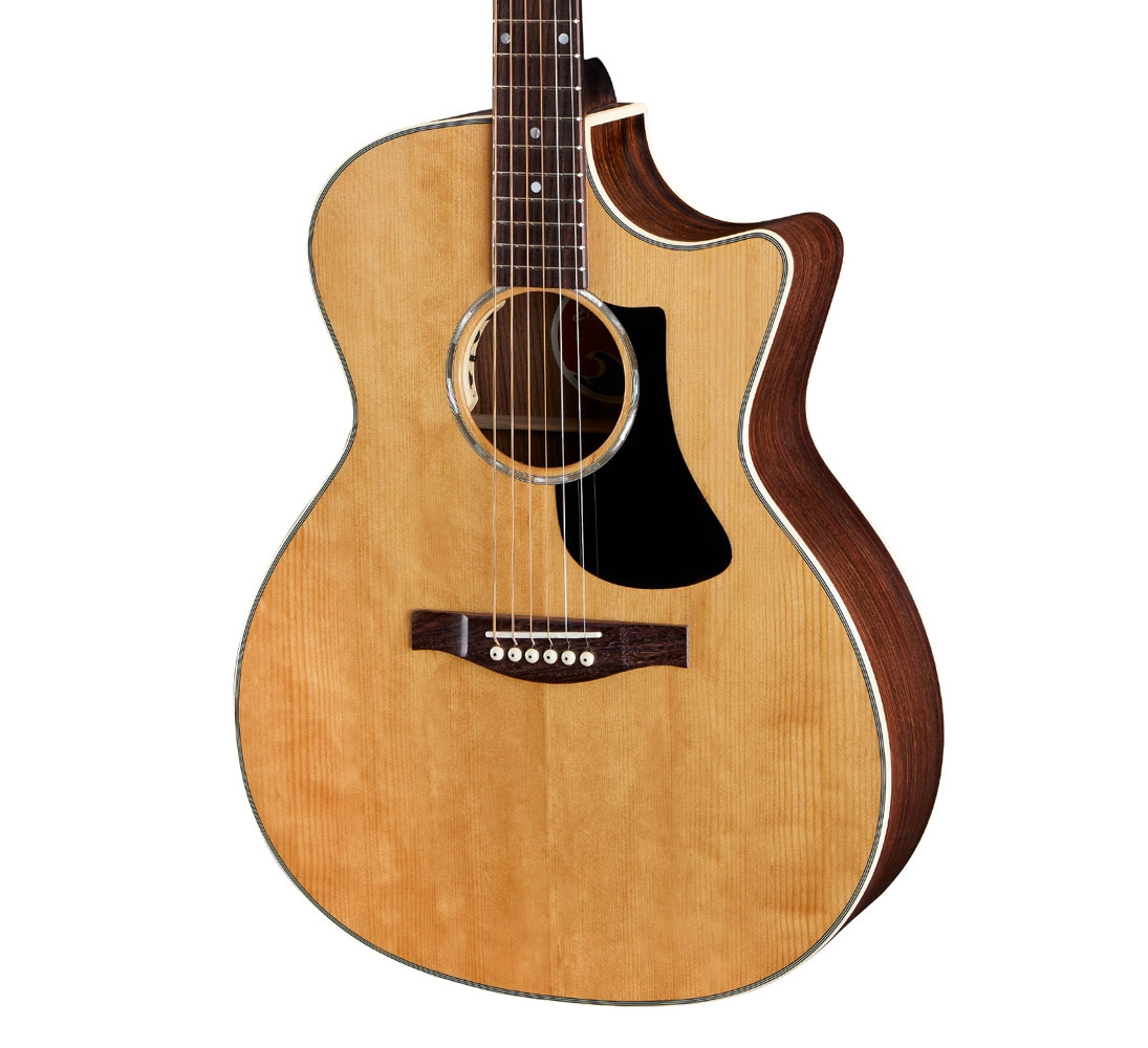 Eastman PCH2-GACE Natural