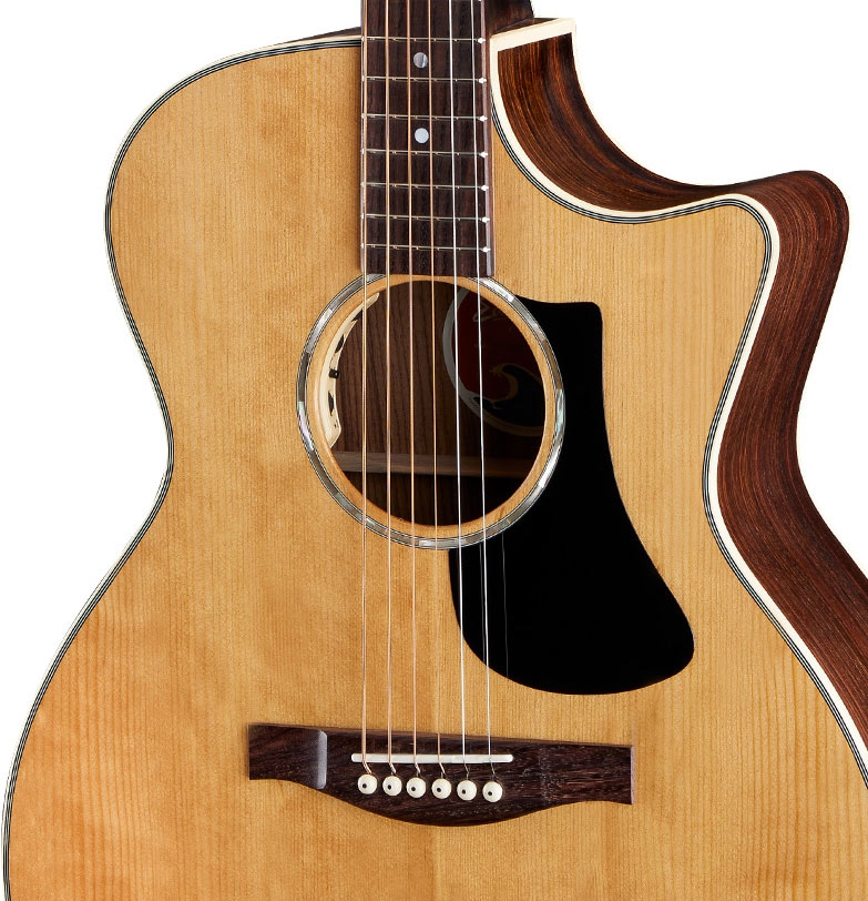 Eastman PCH2-GACE Natural