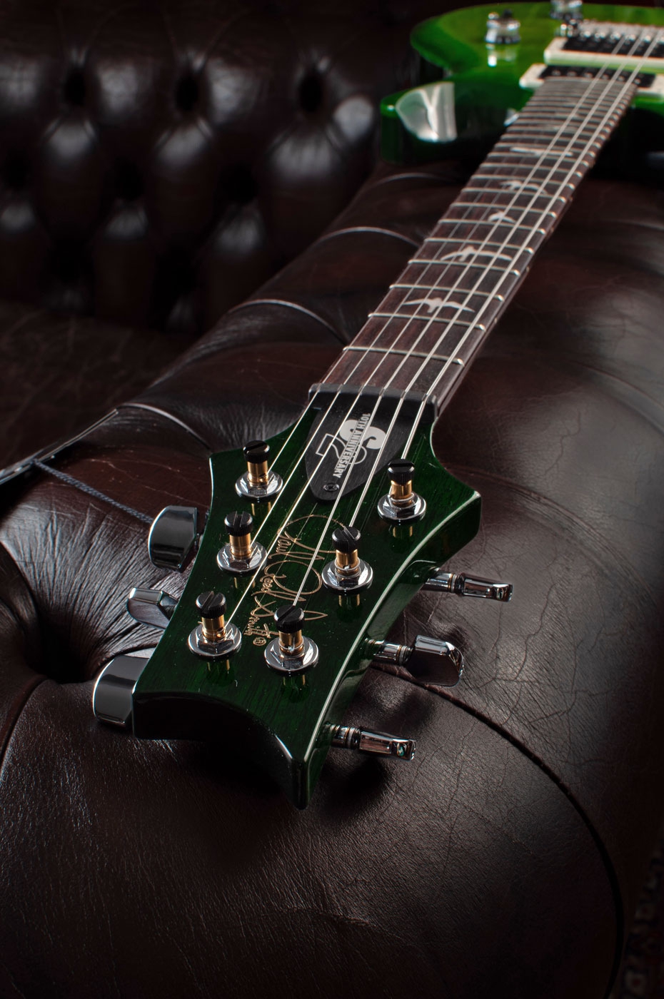 PRS S2 10th Anniversary Custom 24 Eriza Verde