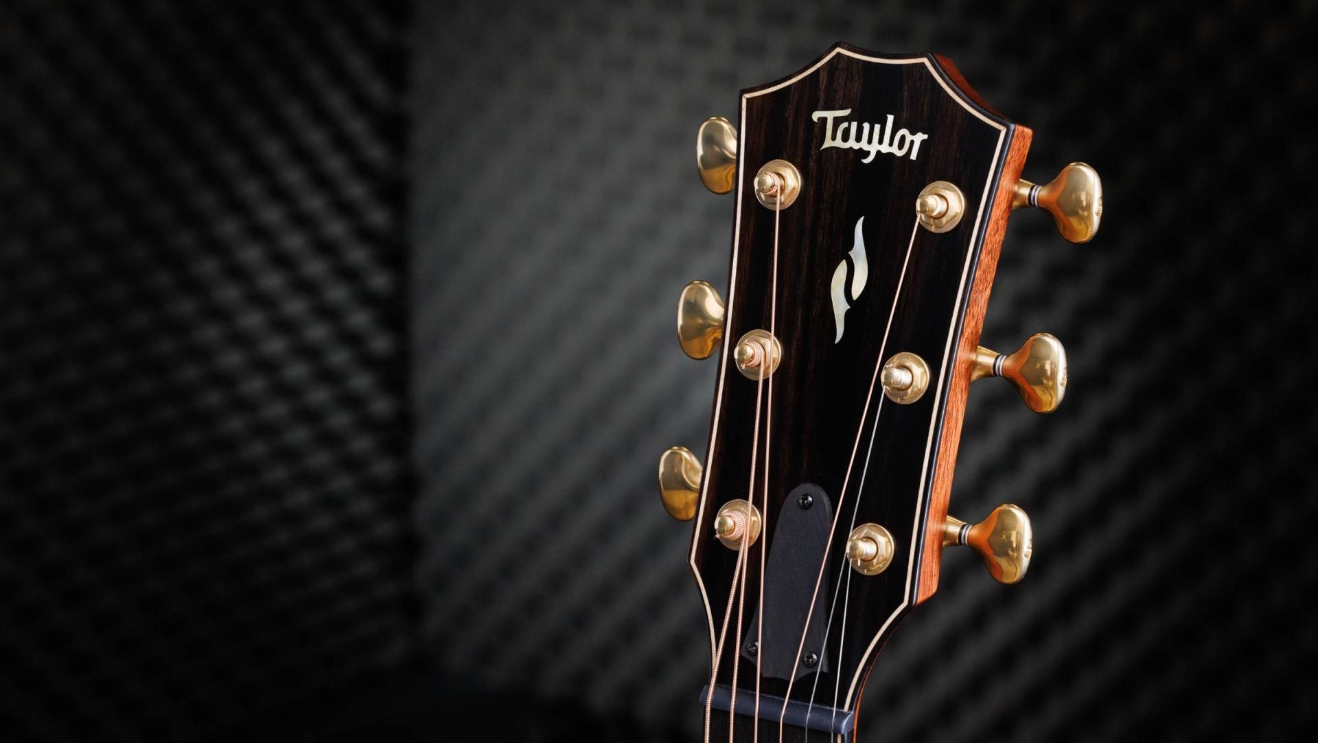 Taylor 50th Anniversary Builder's Edition 814ce LTD