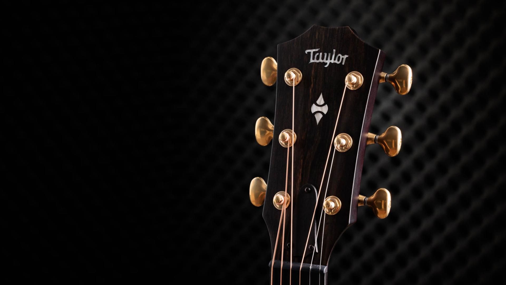 Taylor 50th Anniversary Builder's Edition 314ce LTD NT