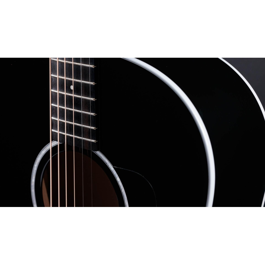 Taylor 217e-BLK Plus