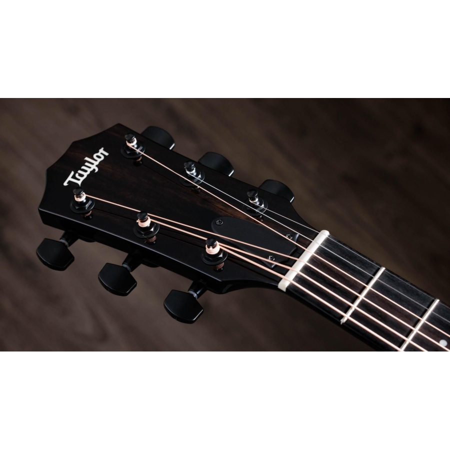 Taylor 217e-BLK Plus