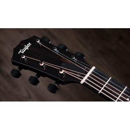 Taylor 217e-BLK Plus