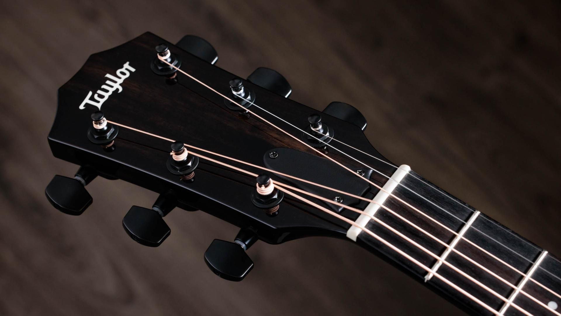 Taylor 217e-BLK Plus