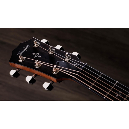 Taylor 414CE-R Tobacco Sunburst top