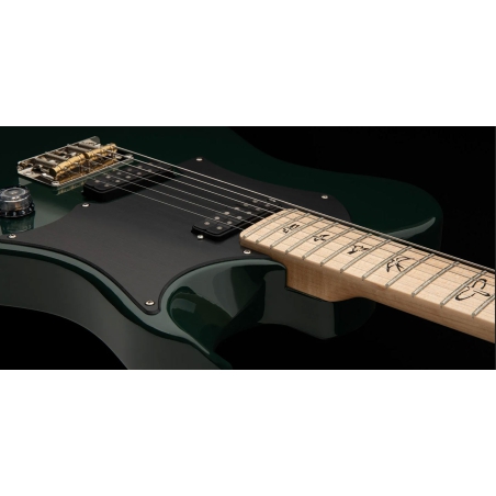 PRS Myles Kennedy Hunters Green