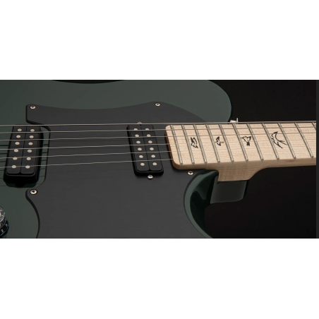 PRS Myles Kennedy Hunters Green