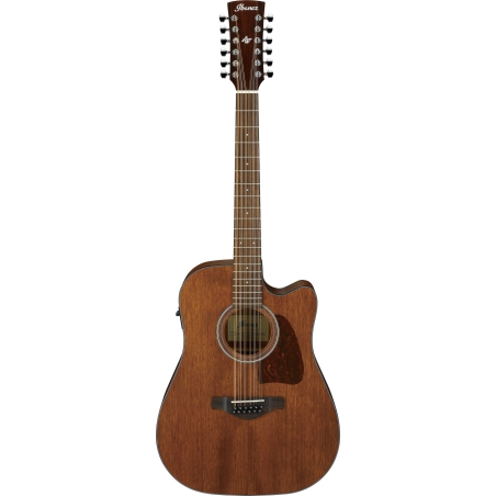 Ibanez AW5412CE OPN Artwood