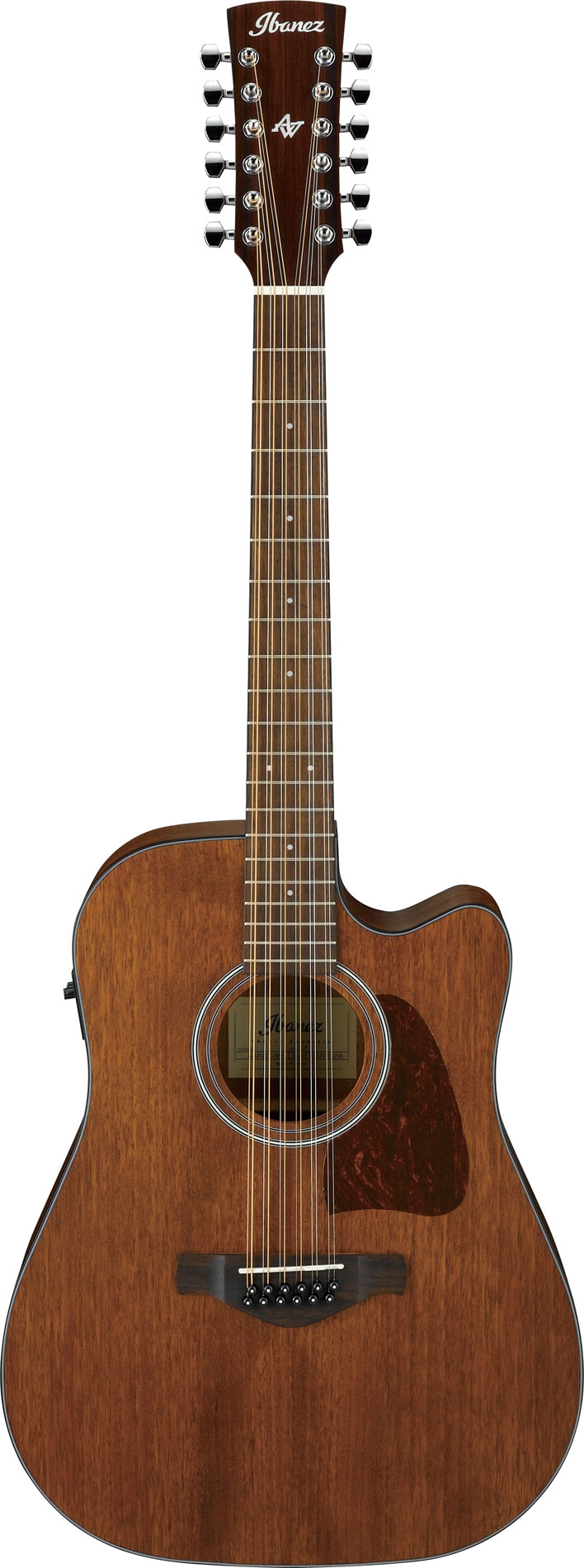 Ibanez AW5412CE OPN Artwood