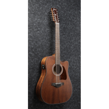 Ibanez AW5412CE OPN Artwood