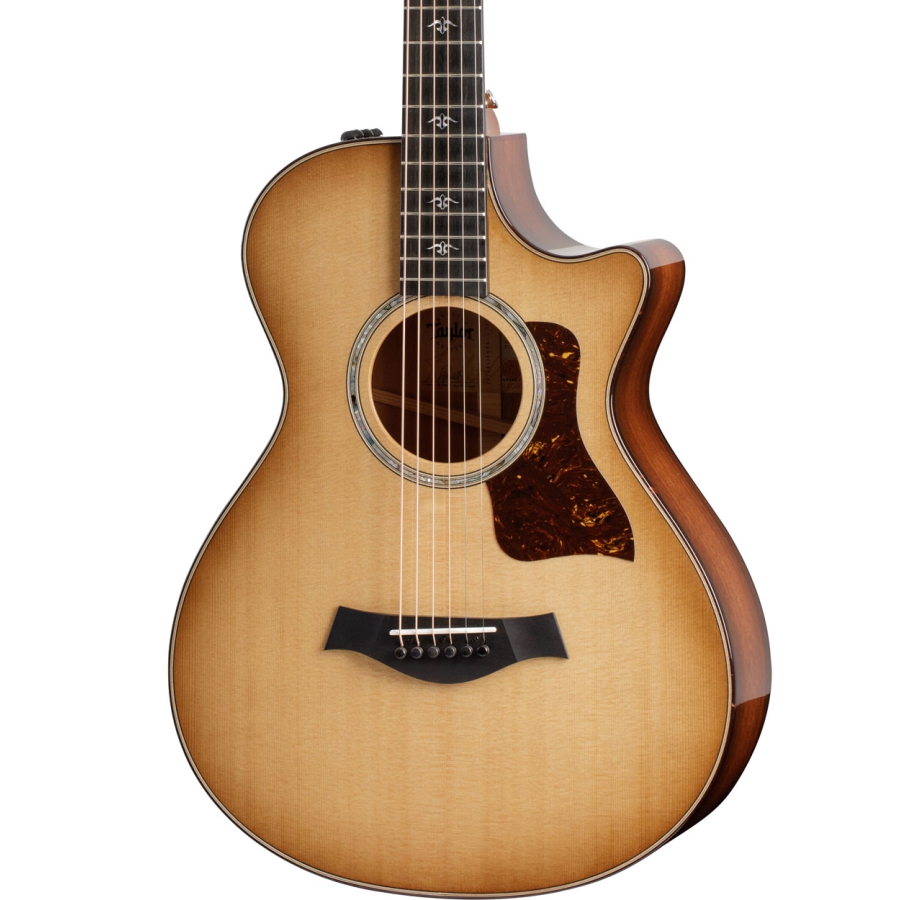 Taylor 512ce 12-Fret Urban Ironbark