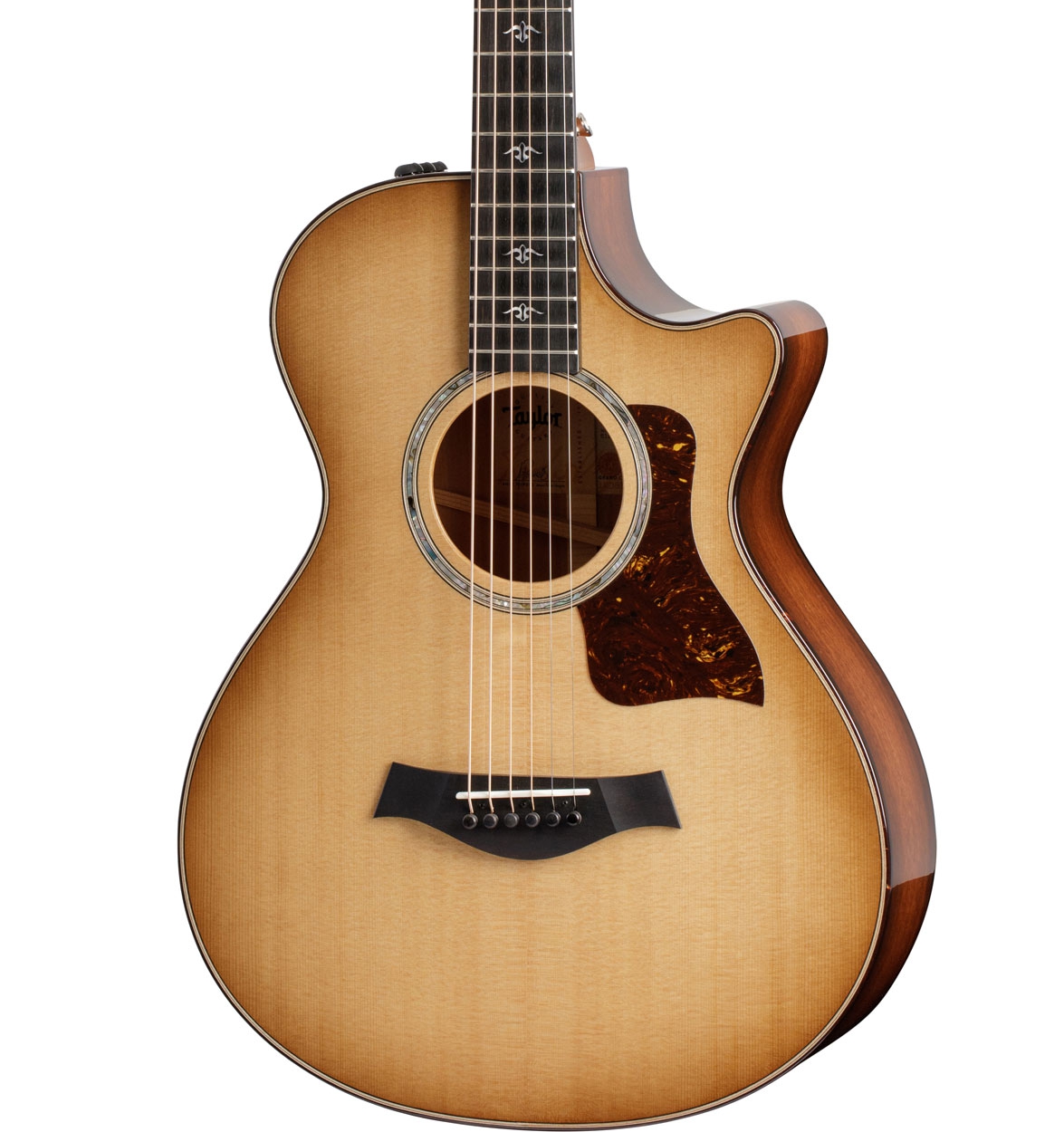 Taylor 512ce 12-Fret Urban Ironbark